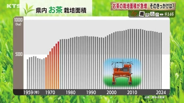 昭和40年代（1965年）から栽培面積が急増
