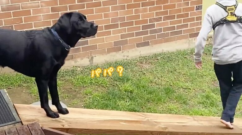 「パパ？」と父の顔を見て…