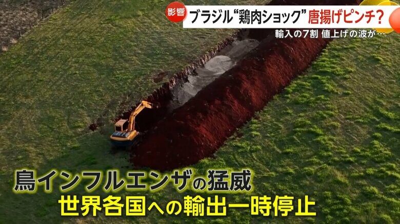 鳥インフルエンザが猛威を振るい、鶏肉の輸出が一時停止する事態となったブラジル
