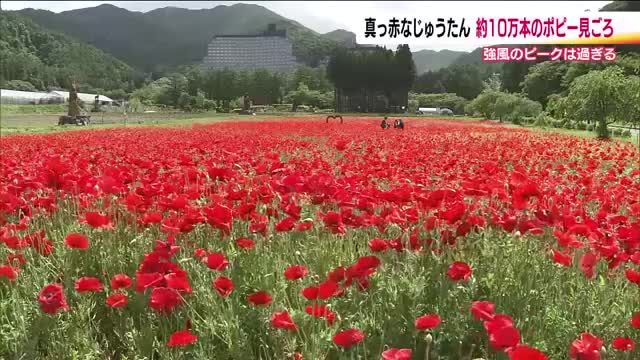 キービジュアル