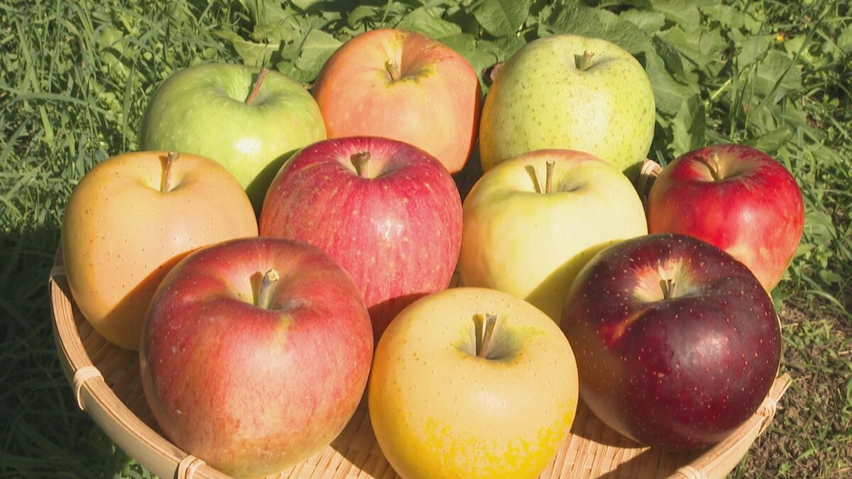 50品種のリンゴが実る長野県飯綱町 廃校リノベ工房から新たな魅力発信