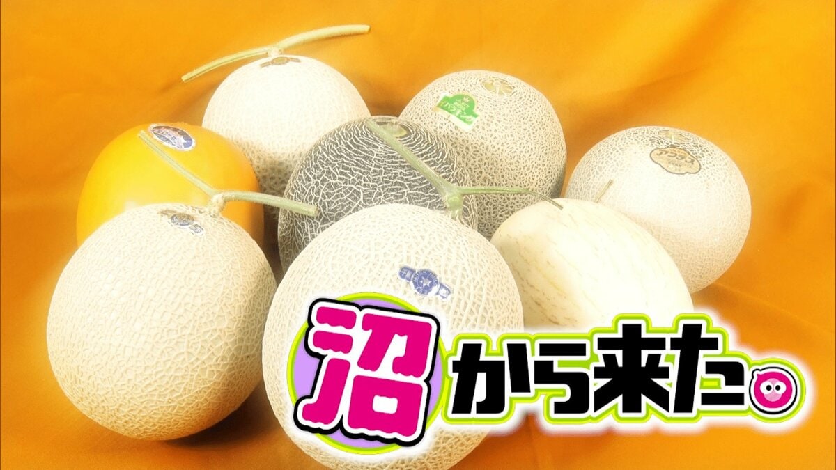 今の時期オススメは「アンデスメロン」マニアが教える選び方と甘さを