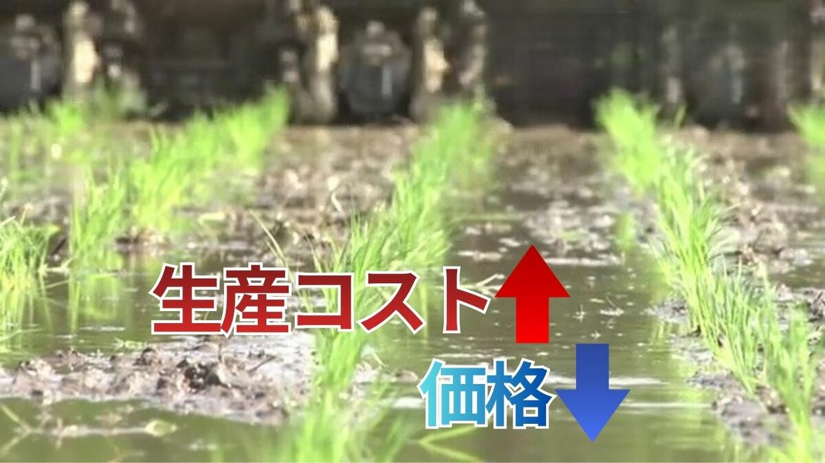 コメ価格は下がり、コストは増大「こんな業界はありえん、絶対に 