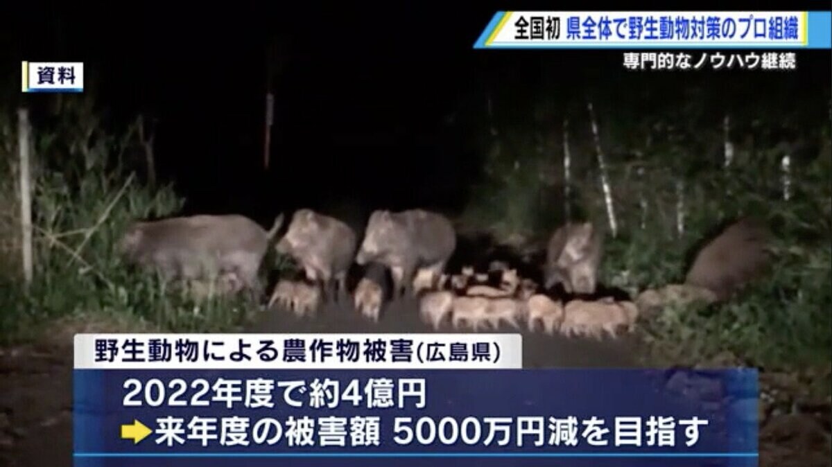 全国初”の鳥獣被害対策プロ組織「テゴス」が本格稼働 組織名は広島弁の