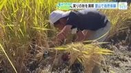 秋の里山を楽しむ！　水辺の観察・伝承料理「田舎寿司」作り・稲穂の天日干しに挑戦　広島・安芸太田町