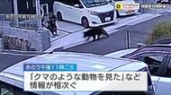 広島市内で「走り去るクマを見た」など目撃情報　昨夜から今朝にかけ相次ぐ　10の小中学校が休校