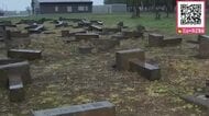 なぜ？墓石58基を次々と…12基は土台から引き倒される_北海道月形町で”墓荒らし”1区画すべてのお墓が倒される_前日夕方から早朝にかけての犯行か？警察が器物損害容疑で捜査