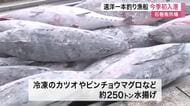 「おいしいカツオとマグロを 食べていただけたら」宮城・石巻魚市場に一本釣り漁船今季初入港