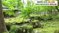 池田町の国名勝「梅田氏庭園」で3日間限定の特別公開　苔むした庭園で青紅葉が見頃…モリアオガエルの卵も　7日まで