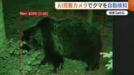 人的被害相次ぐ中…AI搭載カメラで“クマ”を検知！個体識別で行動パターン解析も可能に「安心して暮らせる環境守りたい」新潟・三条市