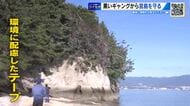 黒いギャングから世界遺産 宮島を守る　今年も大群がやってくる季節に…　広島　