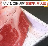 「交雑牛」和牛の旨み×乳牛のヘルシーさ+価格の“いいとこ取り”で人気　「海外の肉より国産のおいしい肉を」の声も