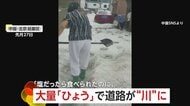 大量の「ひょう」で道路が“川”に…「塩だったら食べられたのに」 真夏に“雪かき”に追われる市民 熱波の影響か 中国・北京