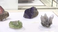 福井県出身 鉱物学者の功績や交流たどる特別展 ~こども歴史文化館