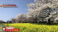 新潟の天気<お空にタッチ>4/7 日中はおおむね晴れるも 夜からは一時雨や雪に