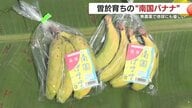 農薬ゼロの“南国ばなな”　鹿児島の挑戦が示す食の未来