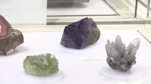 福井県出身 鉱物学者の功績や交流たどる特別展 ~こども歴史文化館