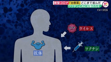 新型コロナ治療薬の開発はどこまで進んだ? 島根大学などが作製に成功した「人工抗体」は切り札となるか