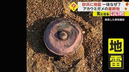 旧日本軍・九三式戦車地雷】アカウミガメ産卵地で…元自衛隊員・男性が偶然発見「なんでこんな場所にあるんだろう」 福岡｜FNNプライムオンライン