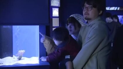 シン・マリホ水族館オープン　新たな物語の始まり　200種類1500匹の生き物を展示　広島
