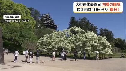大型連休最終日は25℃超の「夏日」半袖や日傘を手に散策　松江城山公園「ナンジャモンジャ」が初夏告げる
