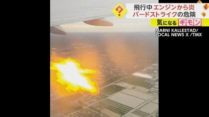 乗客乗員173人の背筋凍る…旅客機飛行中に“エンジンから炎”　原因は鳥が衝突する「バードストライク」 　米・オハイオ州