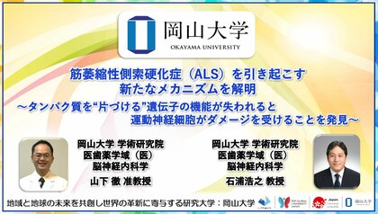 【岡山大学】筋萎縮性側索硬化症（ALS）を引き起こす新たなメカニズムを解明～タンパク質を“片づける”遺伝子の機能が失われると運動神経細胞がダメージを受けることを発見～