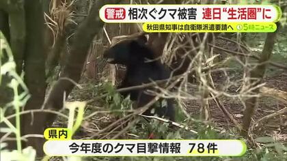 純国産の撃退用スプレーが好評　全国でクマ被害相次ぎ対策グッズに問い合わせ増　連日“生活圏”に　静岡県内では78件の目撃情報　出没マップで警戒呼びかけ