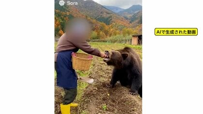 相次ぐ熊の“フェイク動画”に専門家が警鐘　きょうも各地で目撃…道路横断や公民館突進　政府が初の関係閣僚会議で11月中旬までに“対策”を