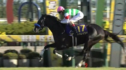 【天皇賞・春】菊花賞馬・ドゥレッツァか、前哨戦を勝ち上がったテーオーロイヤルか？長距離最強を決める上半期の大一番