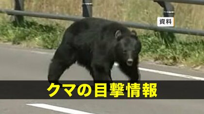 【クマ目撃】花巻市立八幡小学校付近でクマ1頭目撃　岩手県