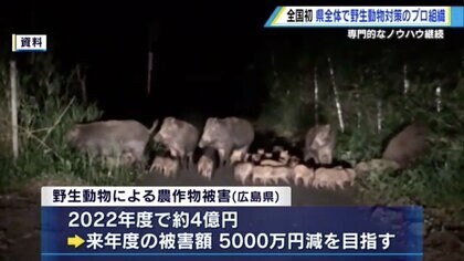 “全国初”の鳥獣被害対策プロ組織「テゴス」が本格稼働　組織名は広島弁の「手伝う＝てごうする」から命名【広島発】
