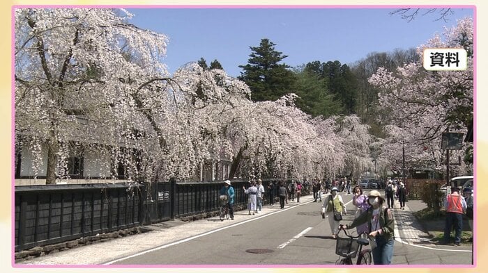 桜の季節の仙北市角館町の武家屋敷通り