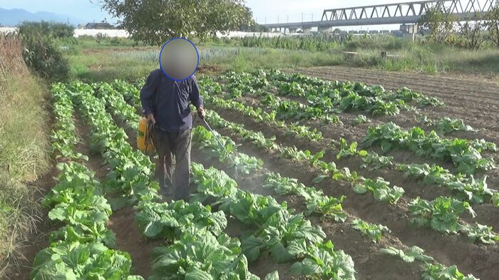 「ヤミ畑」で作業中の別の男性に記者が話しかける