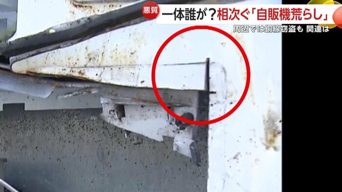 何かで切断されたような跡