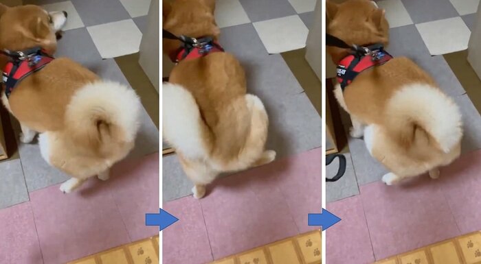 腰トントンなしでの足踏みの様子