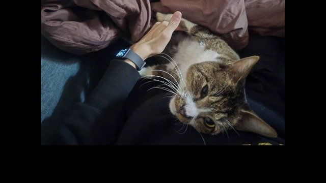 その後の「マツ」