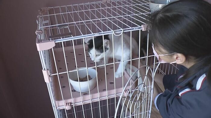 大分市「RIRIMAMの樹」