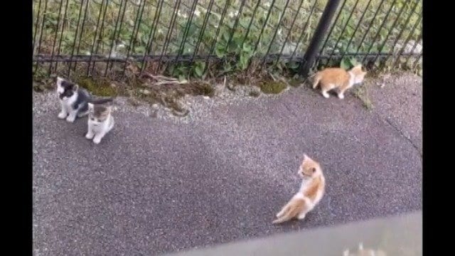 南木曽駅周辺（2022年）提供：おんたけ交通南木曽営業所