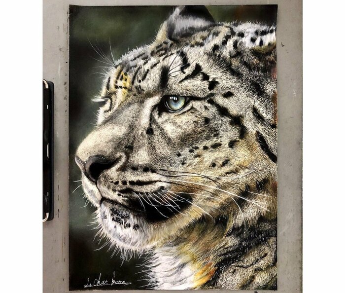 高校生時代に描いたユキヒョウ(提供:長靴をはいた猫さん)