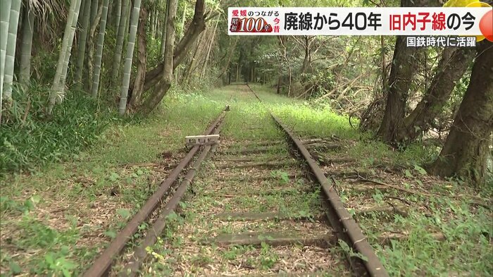 ここだけ時が止まったような不思議な光景