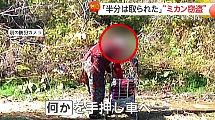 手押し車に何か入れる様子（FNN投稿サイト「ビデオPost」）