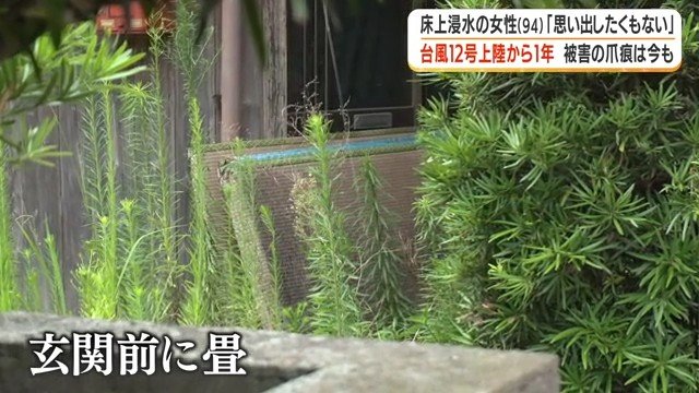 浸水したとみられる畳