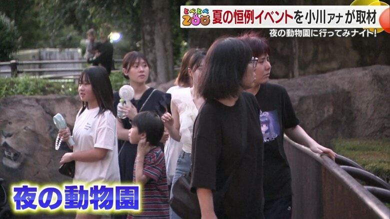 西日本最大規模・愛媛県のとべ動物園で夏大人気の「夜の動物園」はじまる　動物たちの貴重な夜の生態をウォッチ！【愛媛発】｜FNNプライムオンライン