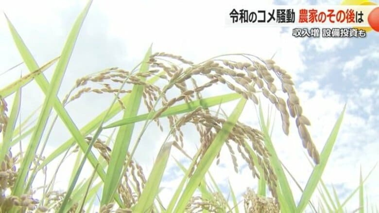 「令和の米騒動」は何をもたらした？消費者は困惑も、担い手不足や農地集約で大規模化する農家にとっては“原資”に　｜FNNプライムオンライン