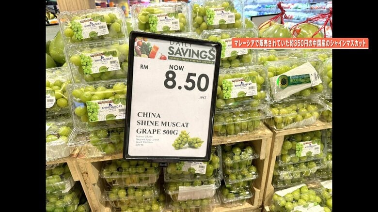 【危機】中国産“シャインマスカット”から残留農薬　日本産への風評被害懸念「全体の問題として誤解される可能性」狙われる日本のブランド果実｜FNNプライムオンライン
