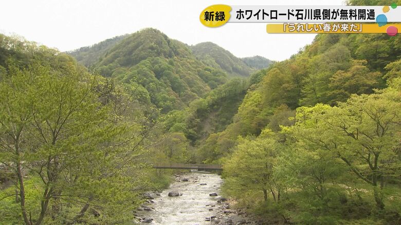 「春の“かおり”が全然違う」白山白川郷ホワイトロードの無料区間が開通！新緑4.5kmの絶景、あなたも感じてみては？｜FNNプライムオンライン