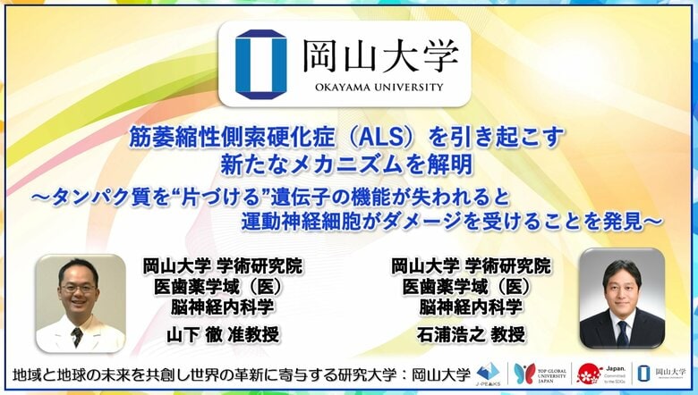 【岡山大学】筋萎縮性側索硬化症（ALS）を引き起こす新たなメカニズムを解明～タンパク質を“片づける”遺伝子の機能が失われると運動神経細胞がダメージを受けることを発見～