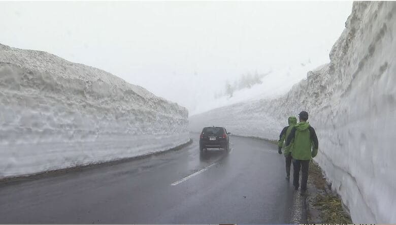 高さ約5m「雪の回廊」が人気　「志賀草津高原ルート」が開通　長野・山ノ内町と群馬・草津町を結ぶ全長23キロ｜FNNプライムオンライン