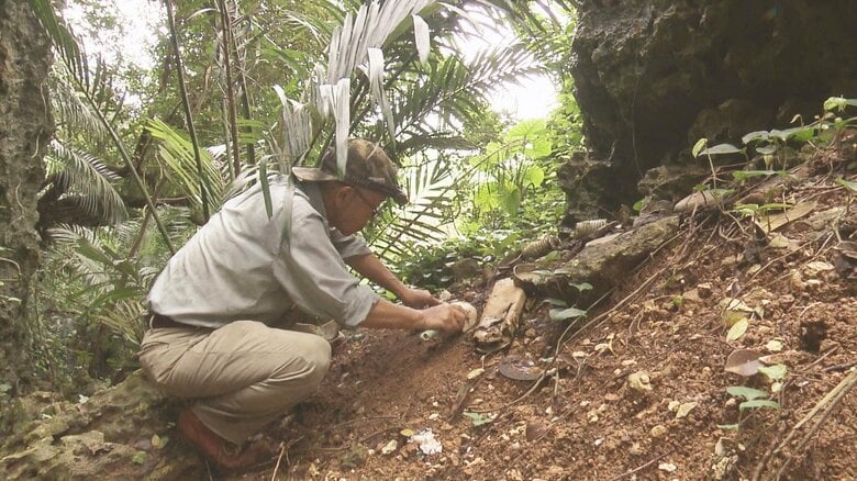 戦没者の遺骨を米軍基地の埋め立てに…沖縄で42年間“骨を掘る男”の活動を基地問題が翻弄「冒涜は許さない」｜FNNプライムオンライン